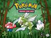 Pokemon 016